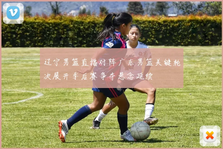 辽宁男篮直播对阵广东男篮关键轮次展开季后赛争夺悬念延续