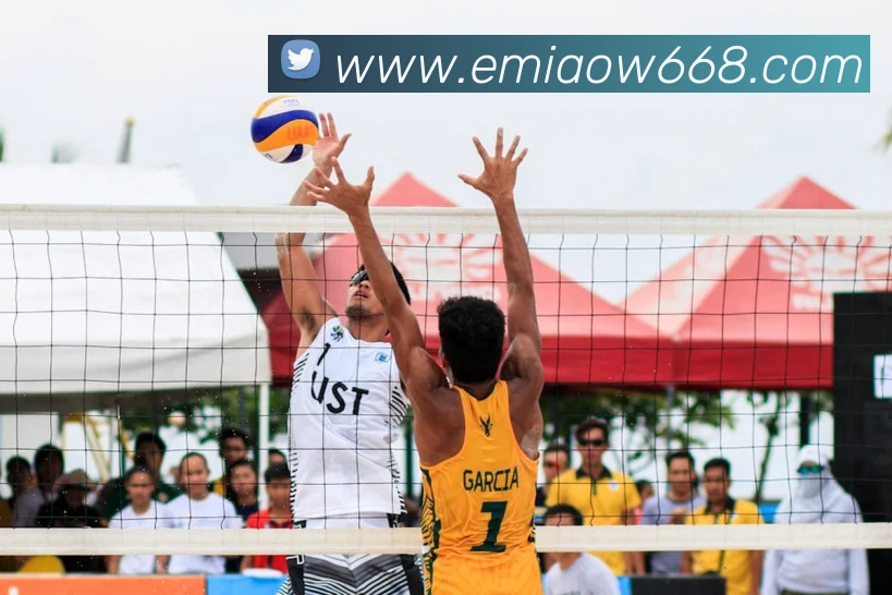 leyu乐鱼官方网站APP 封面图